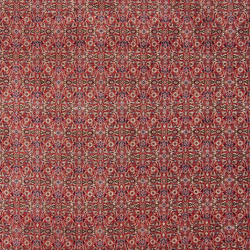 Bidjar Koberec 252x300cm - Perský koberec