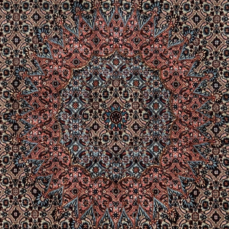Moud Koberec 252x347cm - Perský koberec