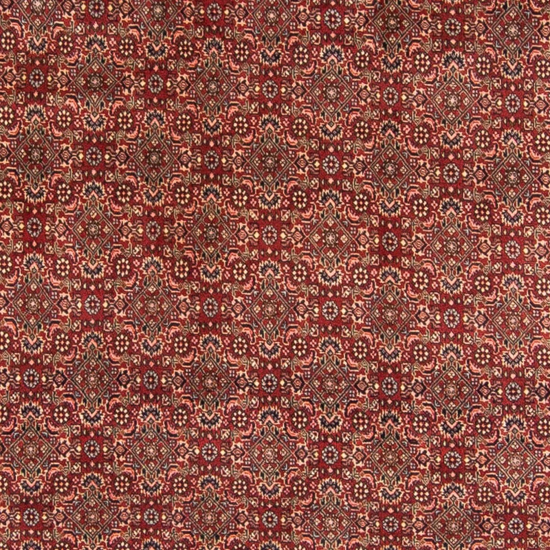 Bidjar Koberec 200x298cm - Perský koberec