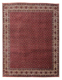 Bidjar Koberec 253x300cm - Perský koberec - tmavě červená – product image