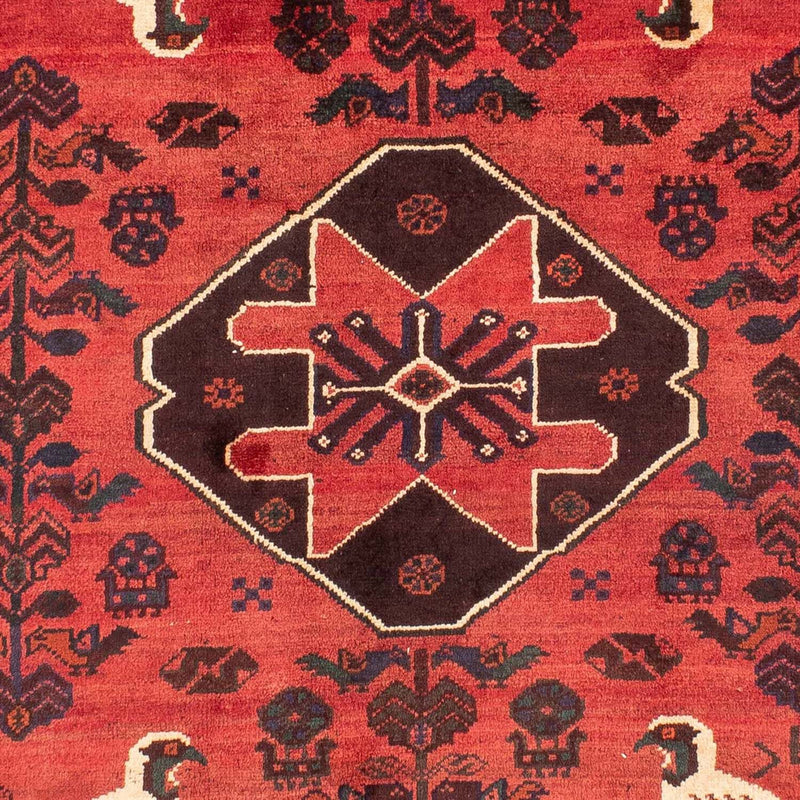 Shiraz Koberec 215x312cm - Perský koberec