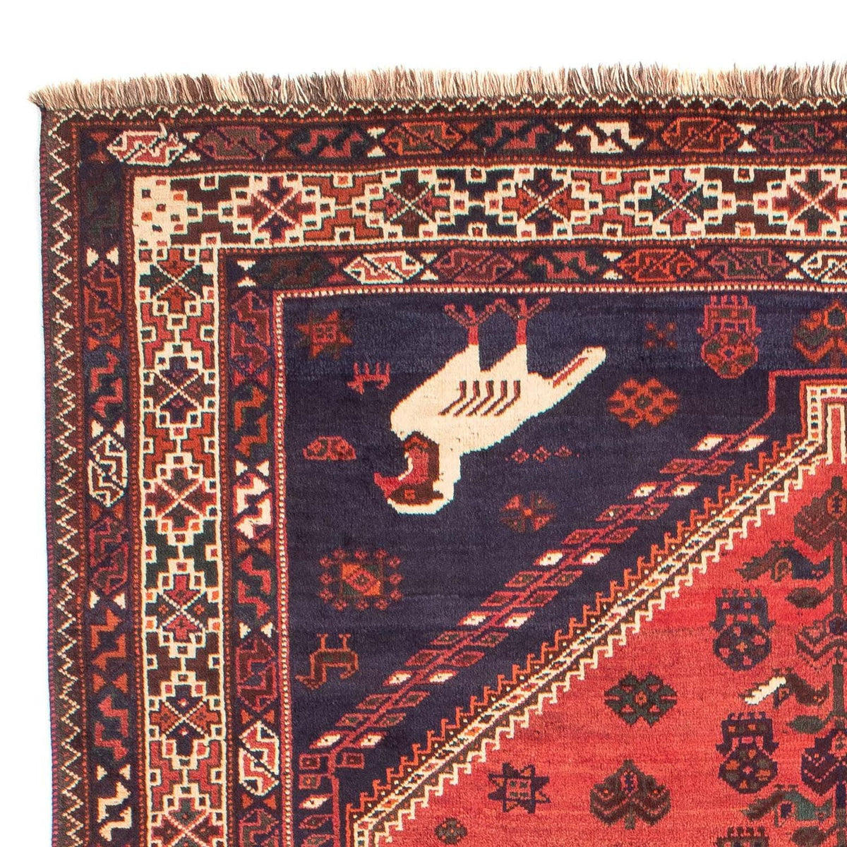 Shiraz Koberec 215x312cm - Perský koberec