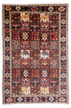 Shiraz Koberec 210x305cm - Perský koberec