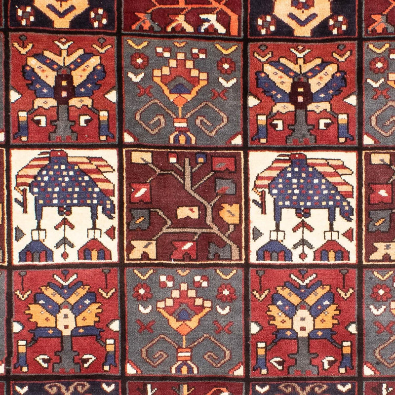 Shiraz Koberec 210x305cm - Perský koberec