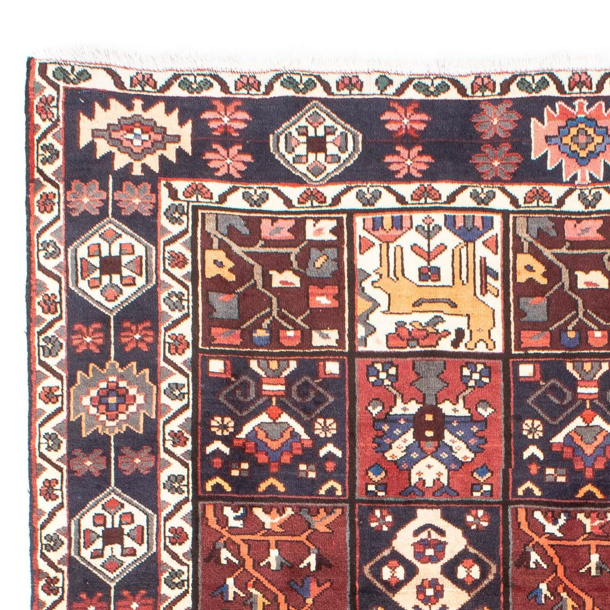 Shiraz Koberec 210x305cm - Perský koberec
