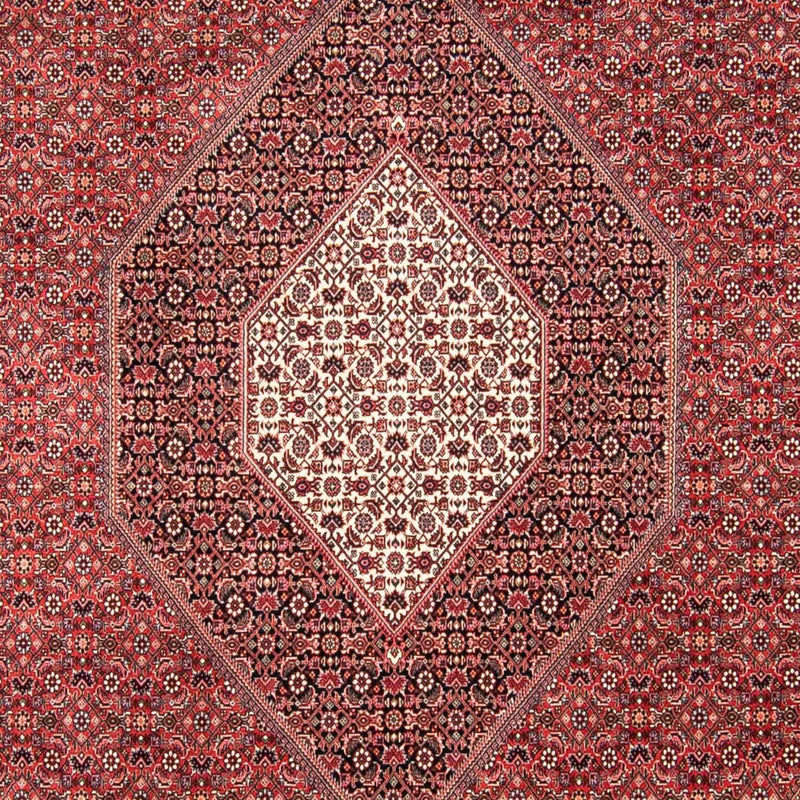 Bidjar Koberec 250x310cm - Perský koberec