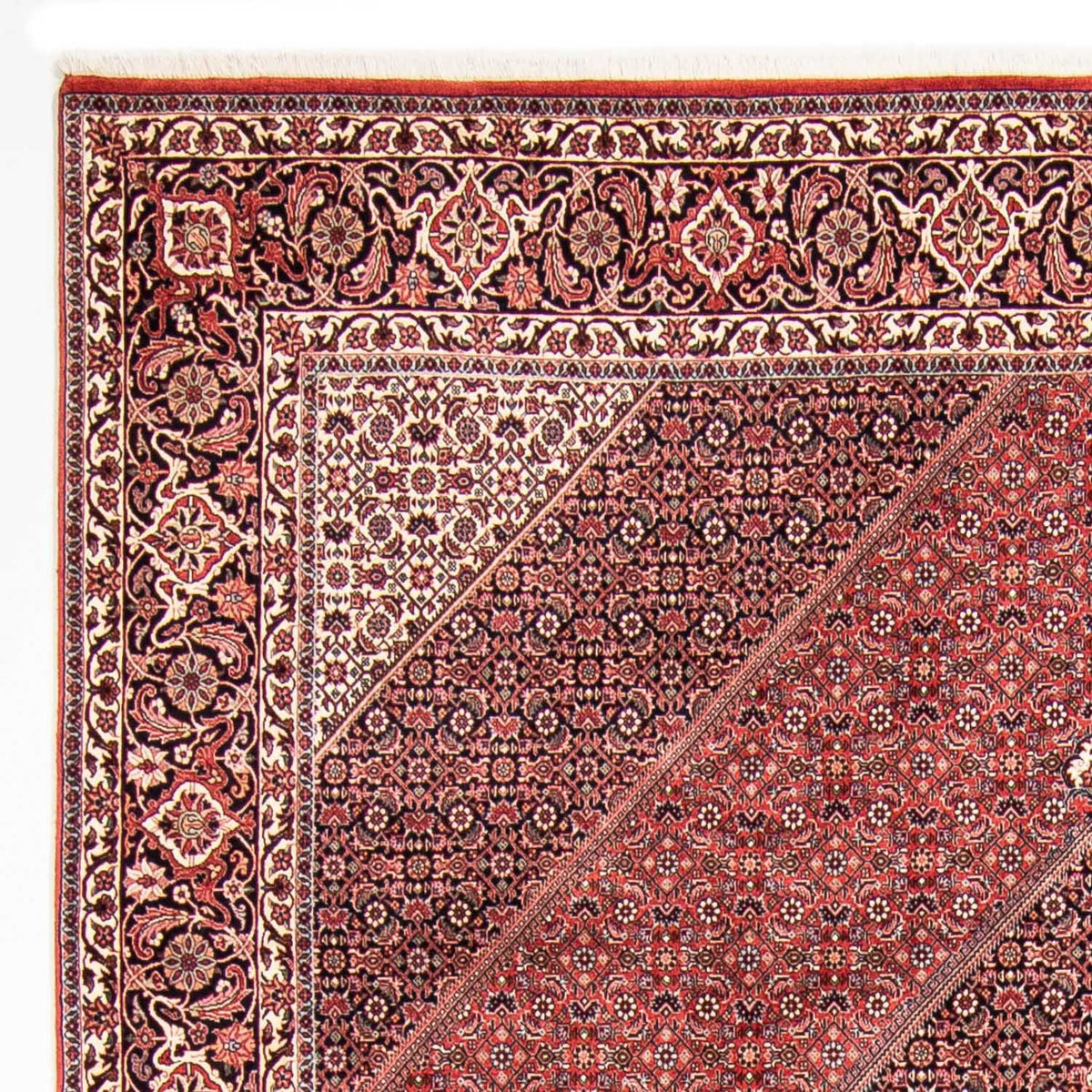 Bidjar Koberec 250x310cm - Perský koberec