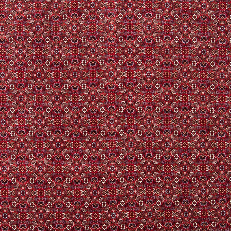 Bidjar Koberec 247x297cm - Perský koberec