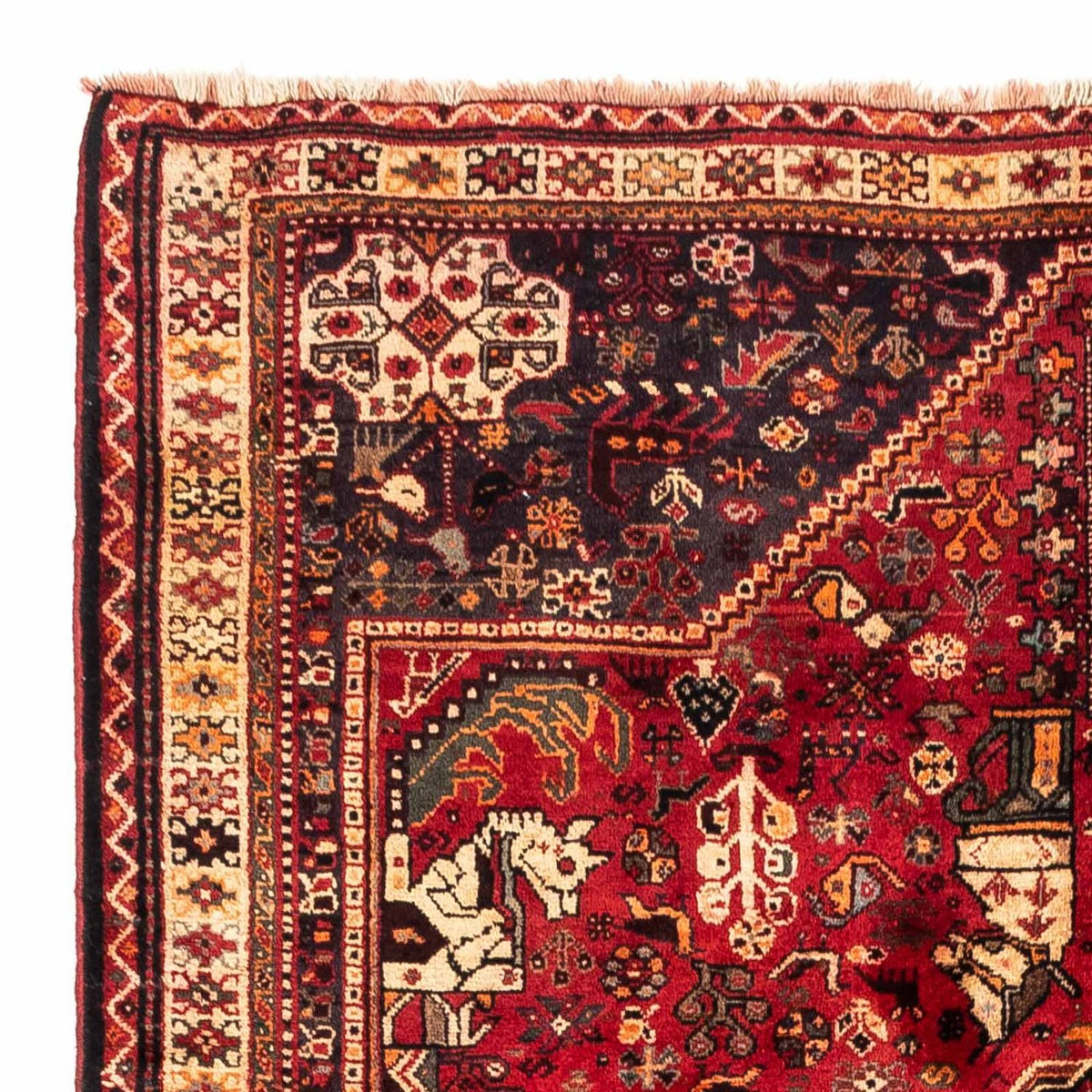 Shiraz Koberec 175x237cm - Perský koberec