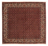 Bidjar Koberec 197x203cm - Perský koberec – product image