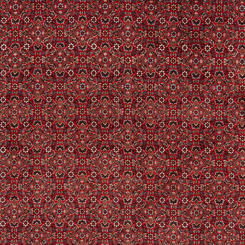 Bidjar Koberec 205x205cm - Perský koberec - tmavě červená
