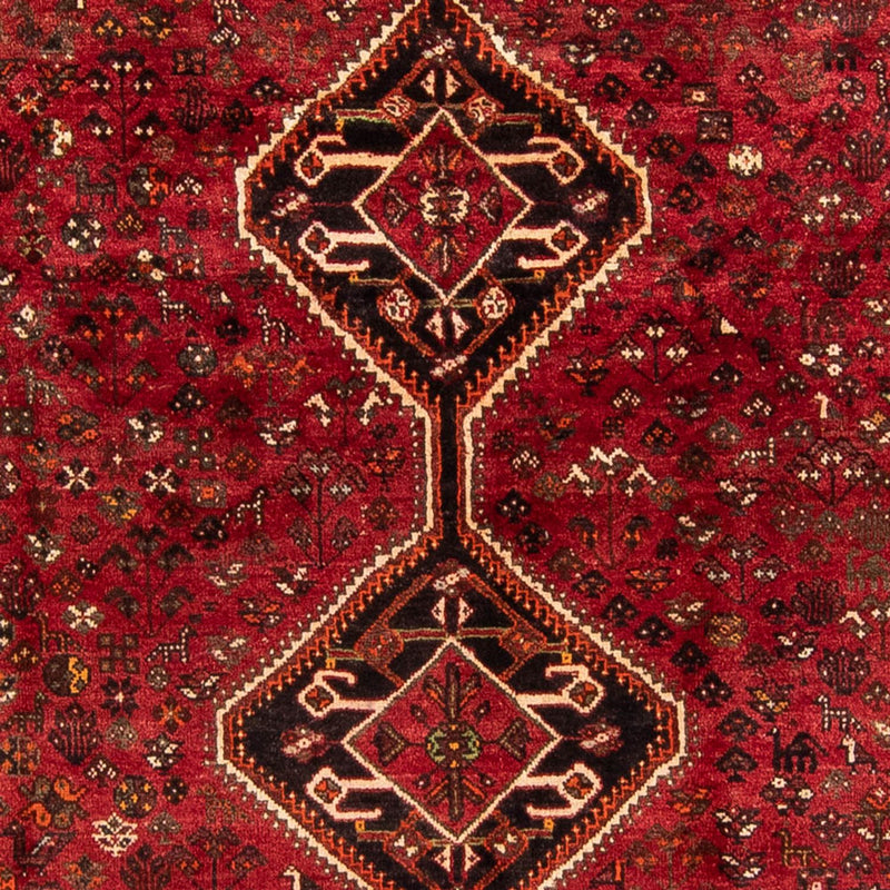 Shiraz Koberec 230x325cm - Perský koberec