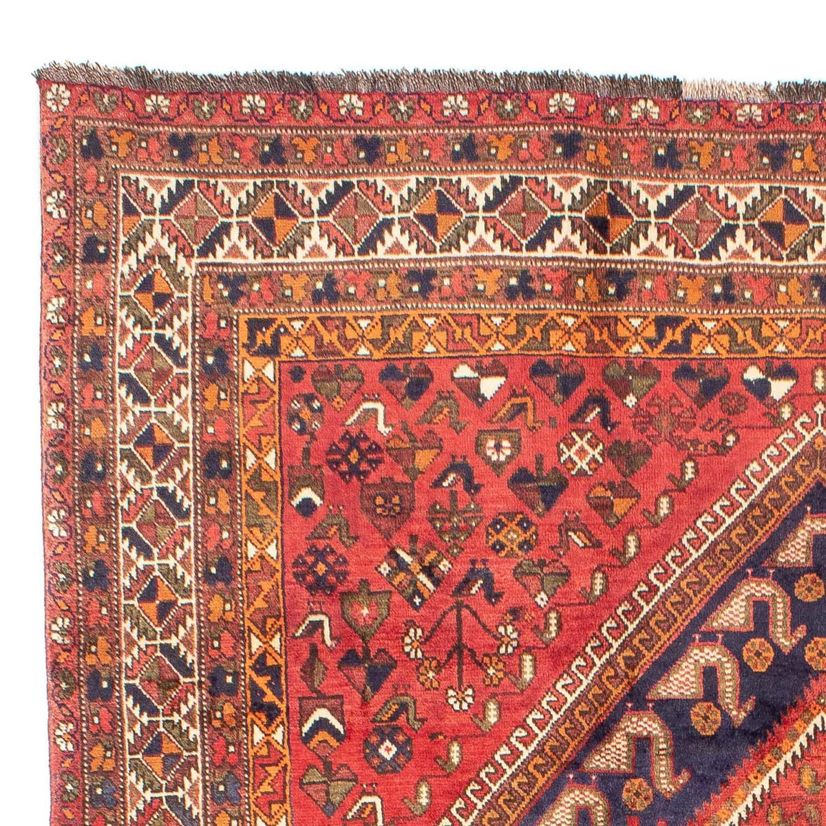 Shiraz Koberec 207x298cm - Perský koberec
