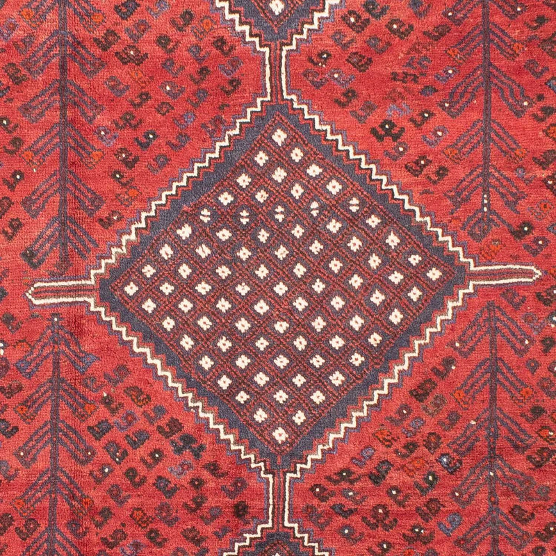 Shiraz Koberec 310x215cm - Perský koberec