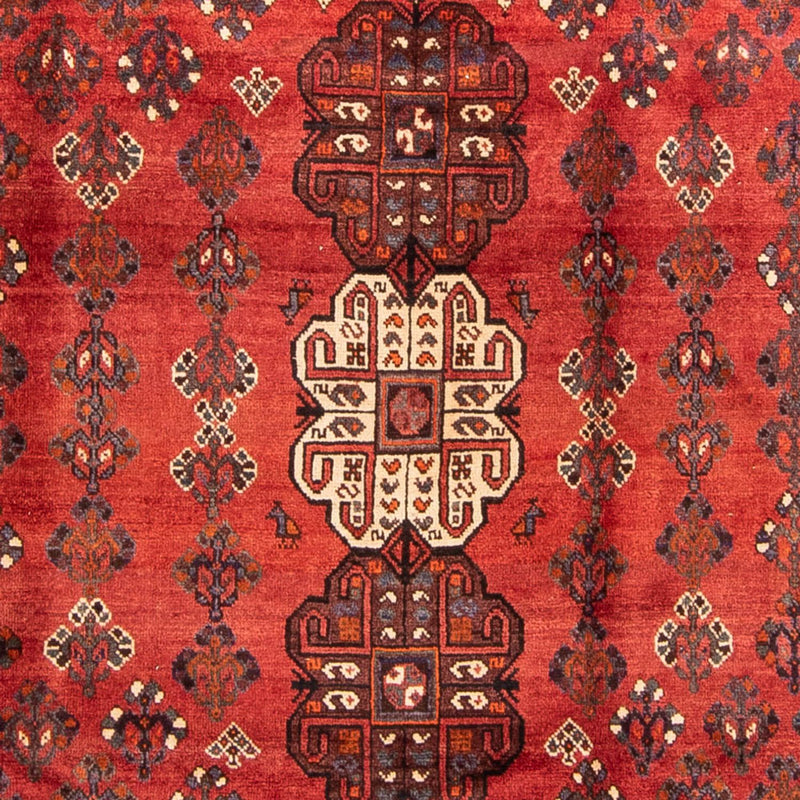 Shiraz Koberec 235x323cm - Perský koberec