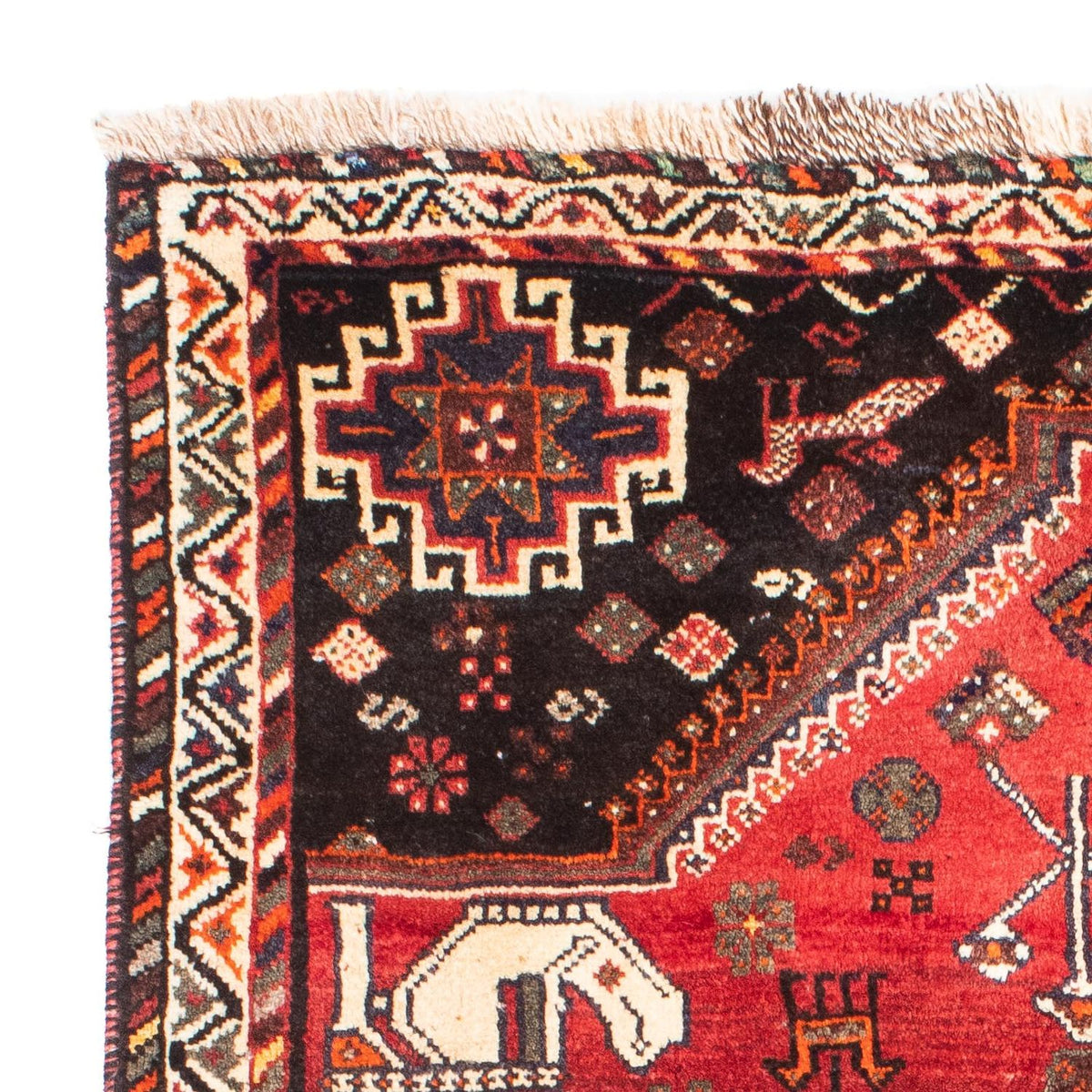 Shiraz Koberec 118x162cm - Perský koberec
